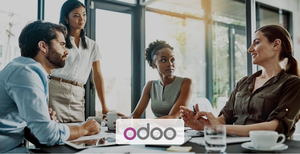 Odoo Implementation Partner